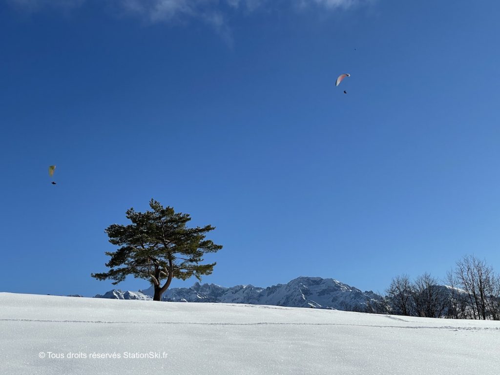 photo neige soleil arbre et sommets station ski