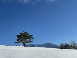 photo neige soleil arbre et sommets station ski